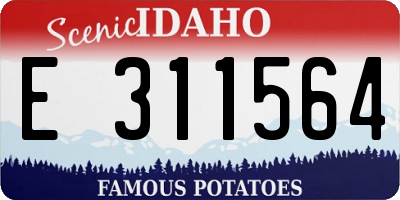 ID license plate E311564