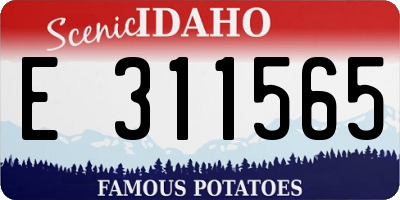 ID license plate E311565