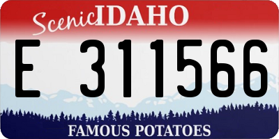 ID license plate E311566