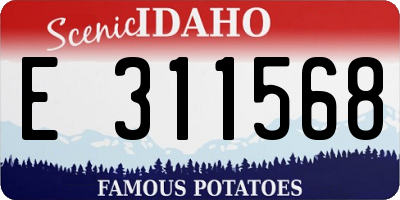 ID license plate E311568