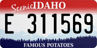 ID license plate E311569