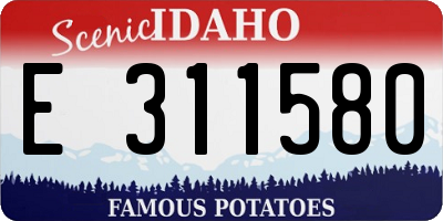 ID license plate E311580