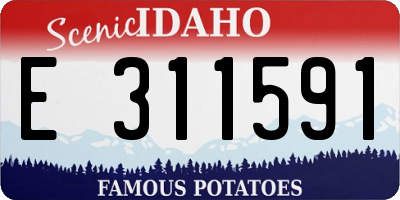 ID license plate E311591