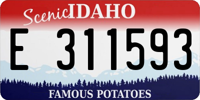 ID license plate E311593
