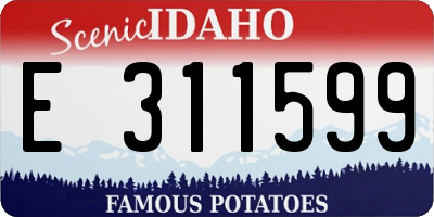 ID license plate E311599