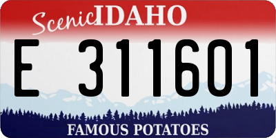 ID license plate E311601