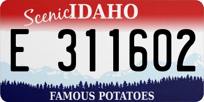 ID license plate E311602