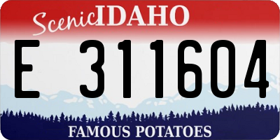 ID license plate E311604