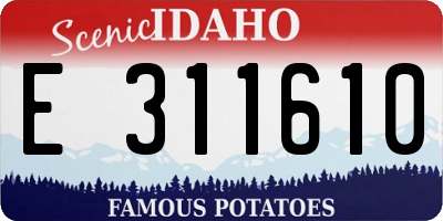 ID license plate E311610