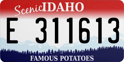 ID license plate E311613