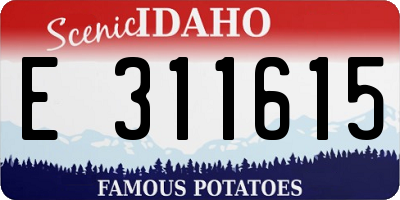 ID license plate E311615