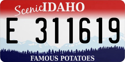ID license plate E311619