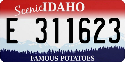 ID license plate E311623