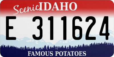ID license plate E311624