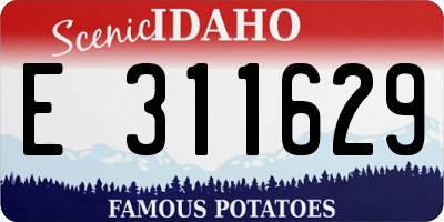 ID license plate E311629