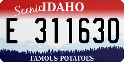 ID license plate E311630