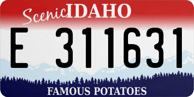 ID license plate E311631