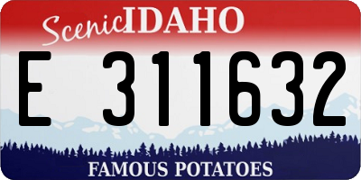 ID license plate E311632