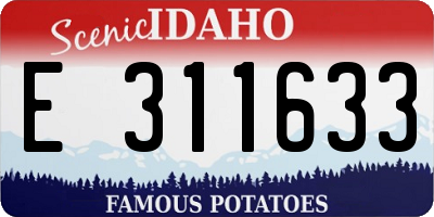 ID license plate E311633