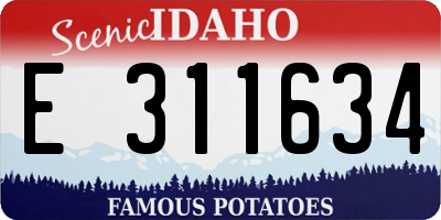 ID license plate E311634