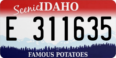 ID license plate E311635