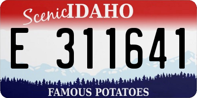 ID license plate E311641