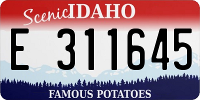 ID license plate E311645
