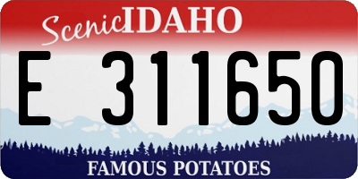 ID license plate E311650