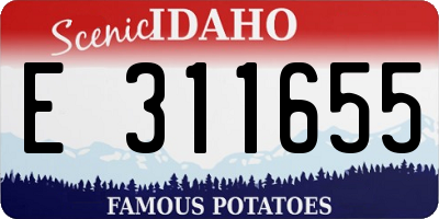 ID license plate E311655