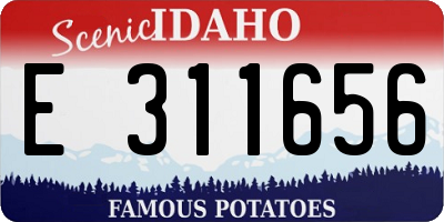 ID license plate E311656