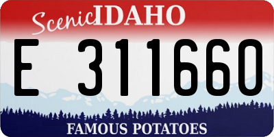 ID license plate E311660
