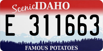 ID license plate E311663
