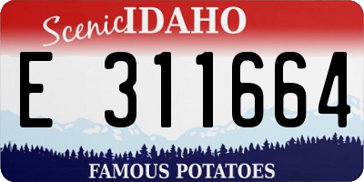 ID license plate E311664
