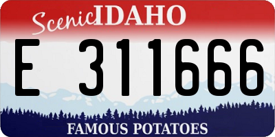 ID license plate E311666