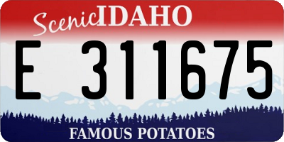 ID license plate E311675
