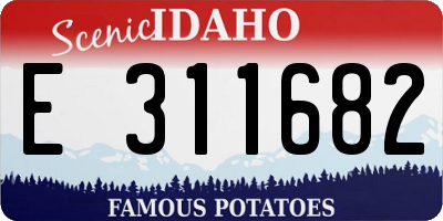 ID license plate E311682