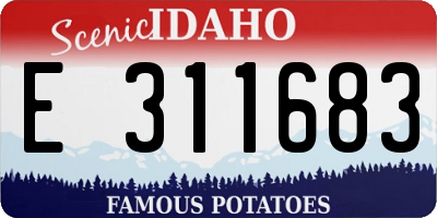 ID license plate E311683