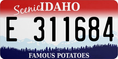 ID license plate E311684