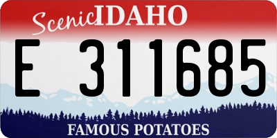 ID license plate E311685