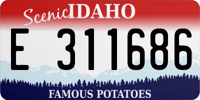 ID license plate E311686