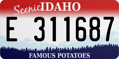 ID license plate E311687