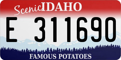 ID license plate E311690