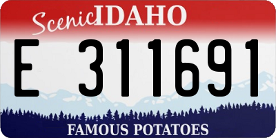 ID license plate E311691