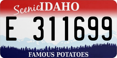 ID license plate E311699