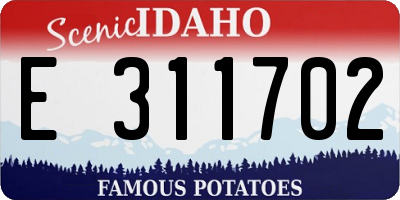 ID license plate E311702