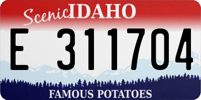 ID license plate E311704