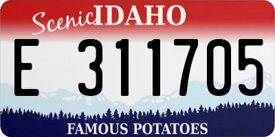 ID license plate E311705