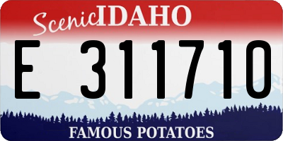 ID license plate E311710