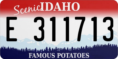 ID license plate E311713