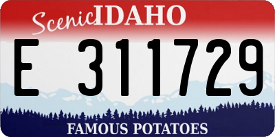 ID license plate E311729